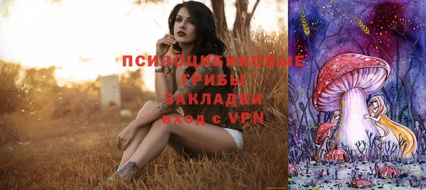 стафф Баксан