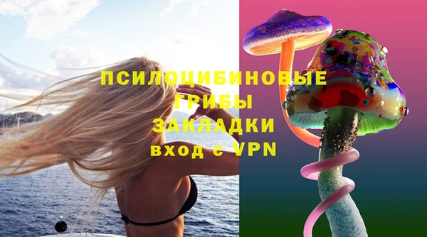стафф Баксан